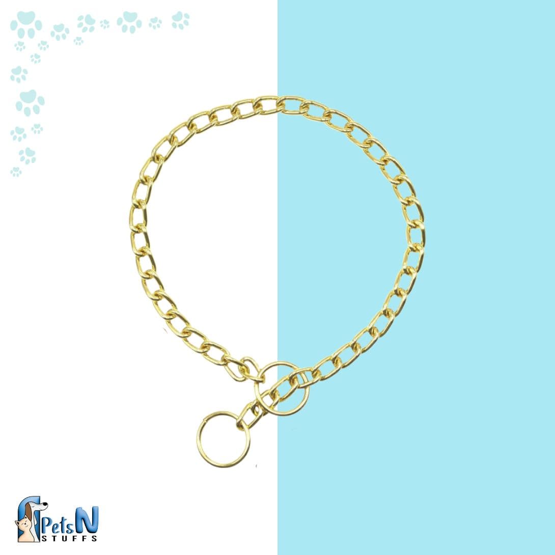 Dog Gold Chocker