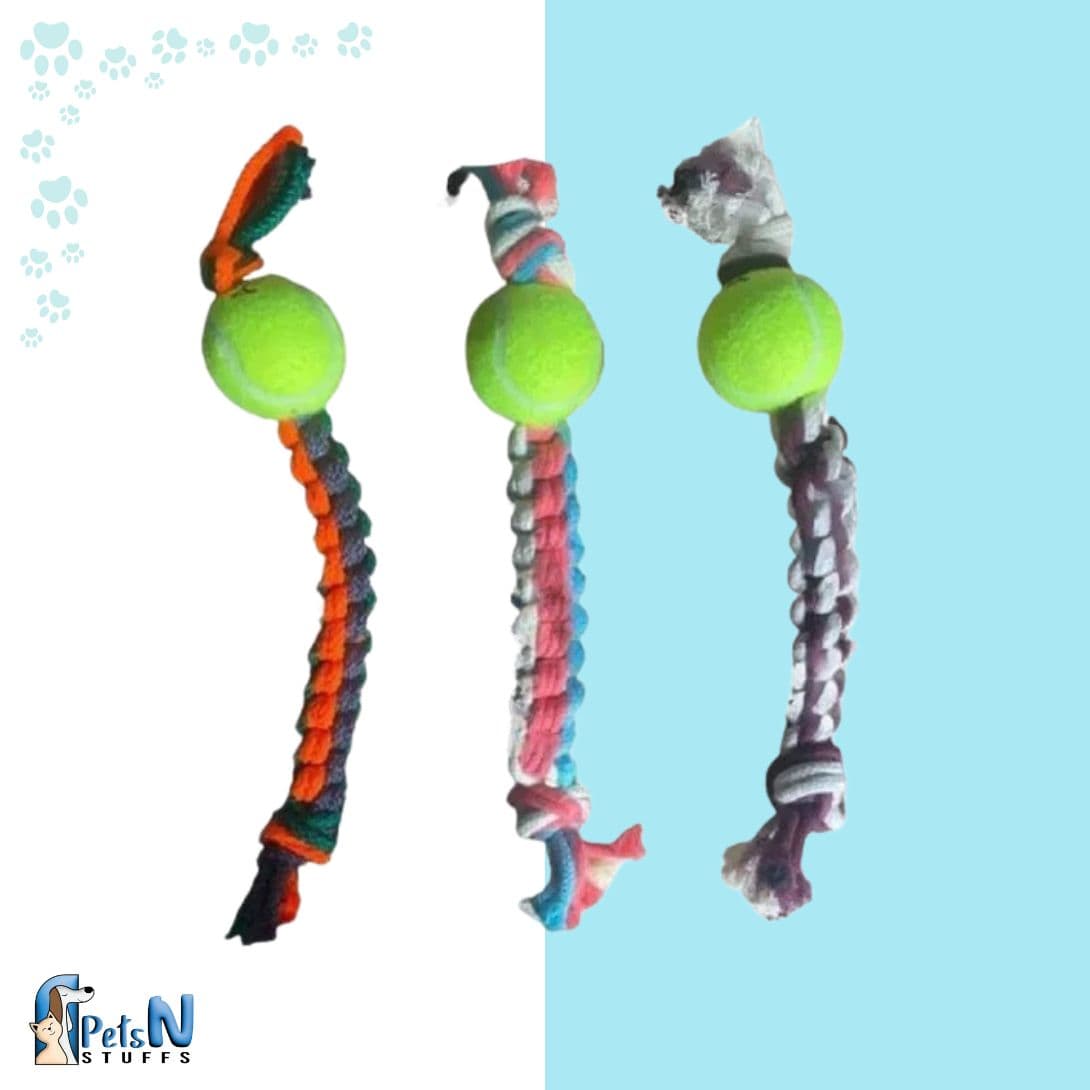 Playing Ball Toy For Dogs