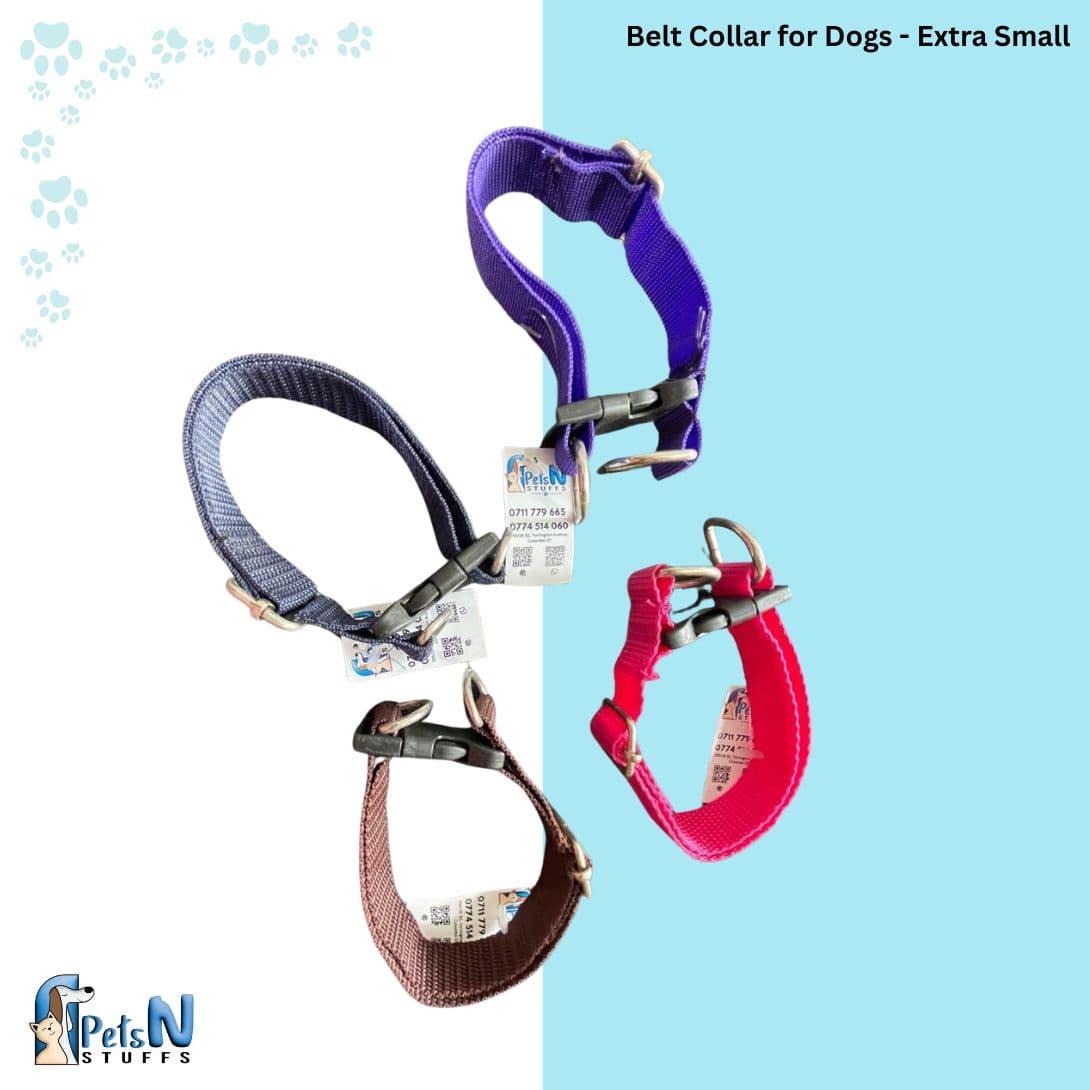 Belt Collar for Dogs