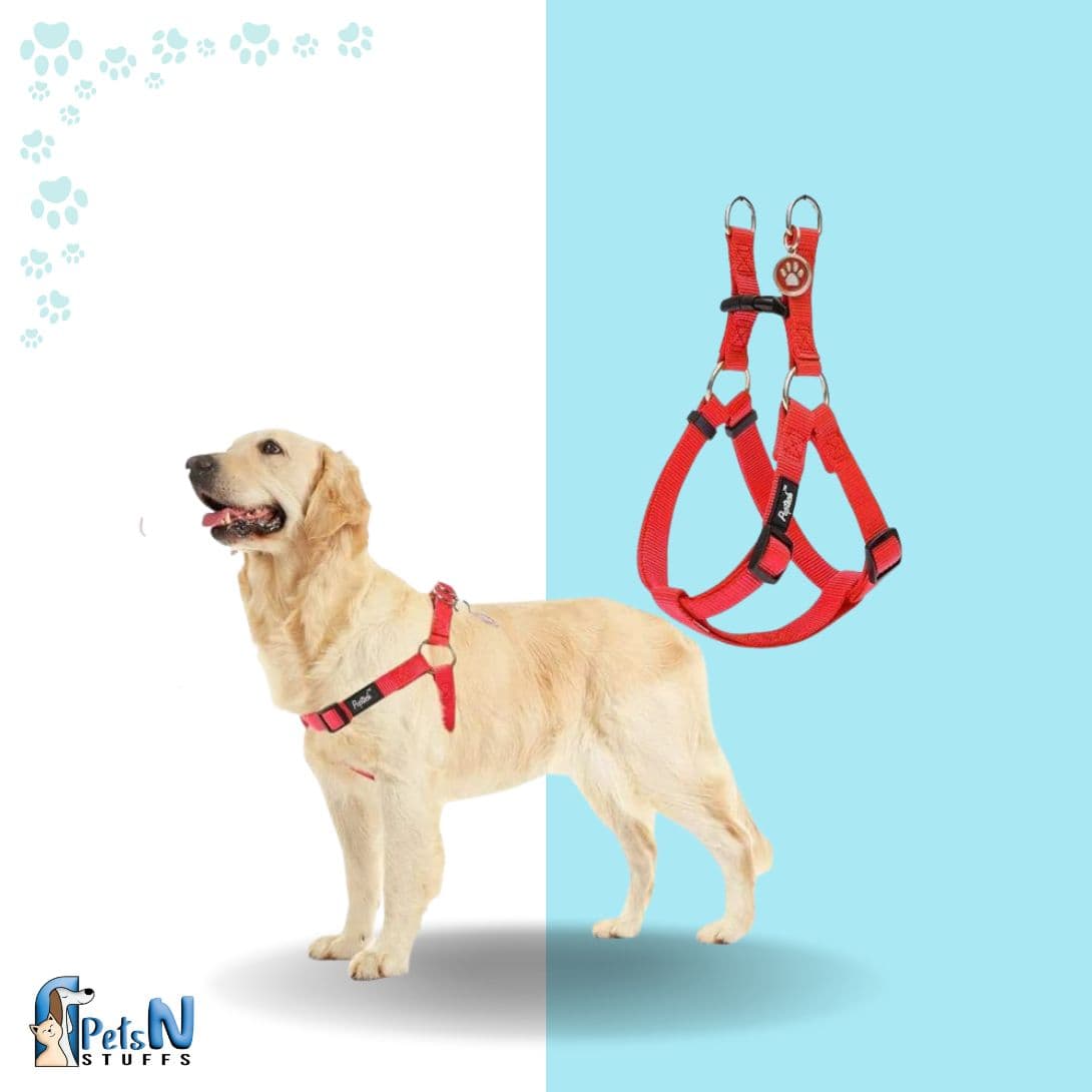 Cema Dog Harness with Leash