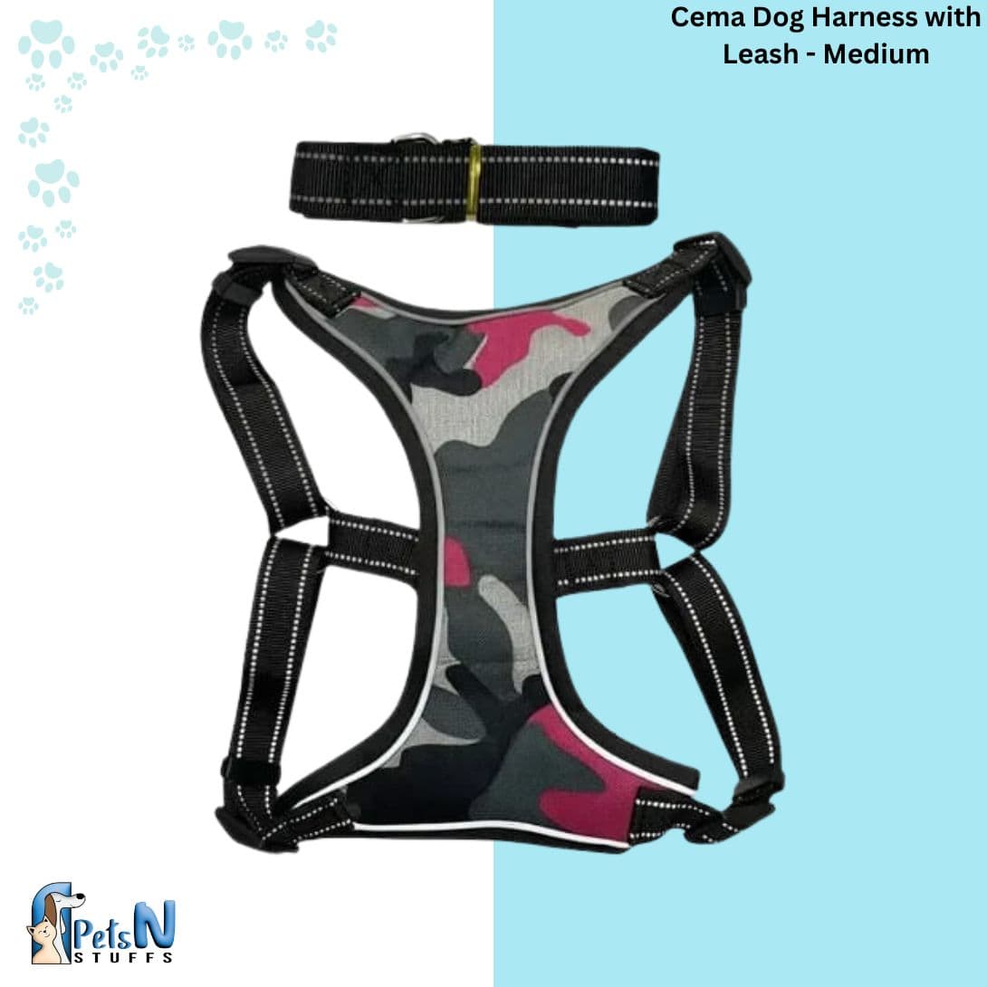 Cema Dog Harness with Leash