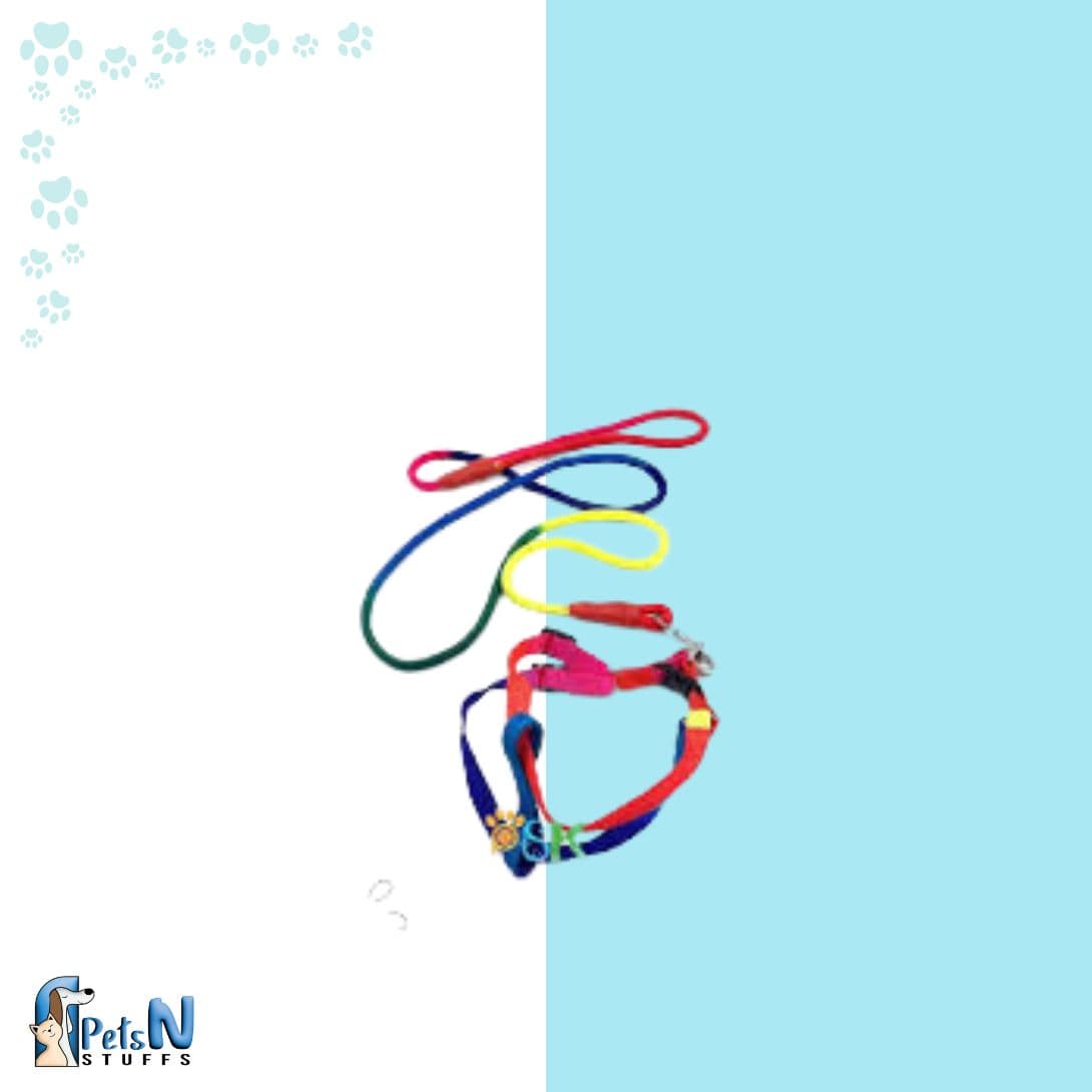 Rainbow Harness Kit for Cats & Dogs