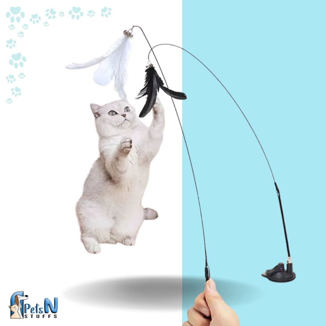 Suction Cup with Cat Stick Feature Toy