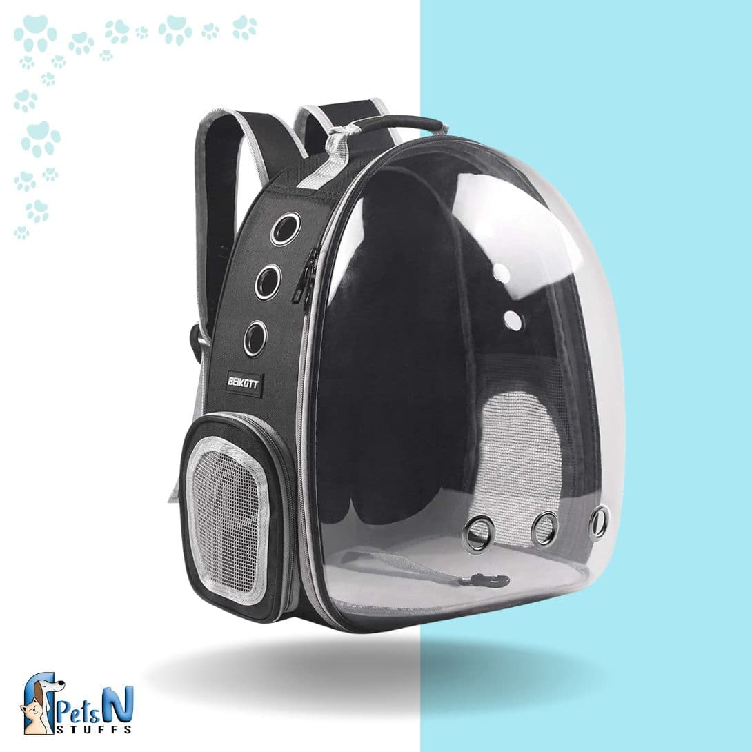 Transparent Cat Back Pack